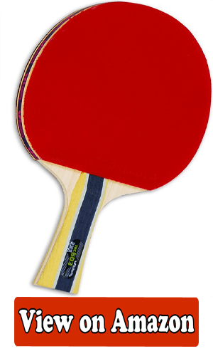 Butterfly 603 Shakehand Table Tennis Racket
