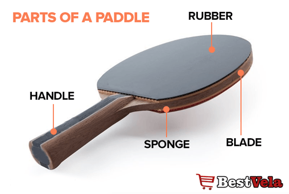 ping pong paddle parts