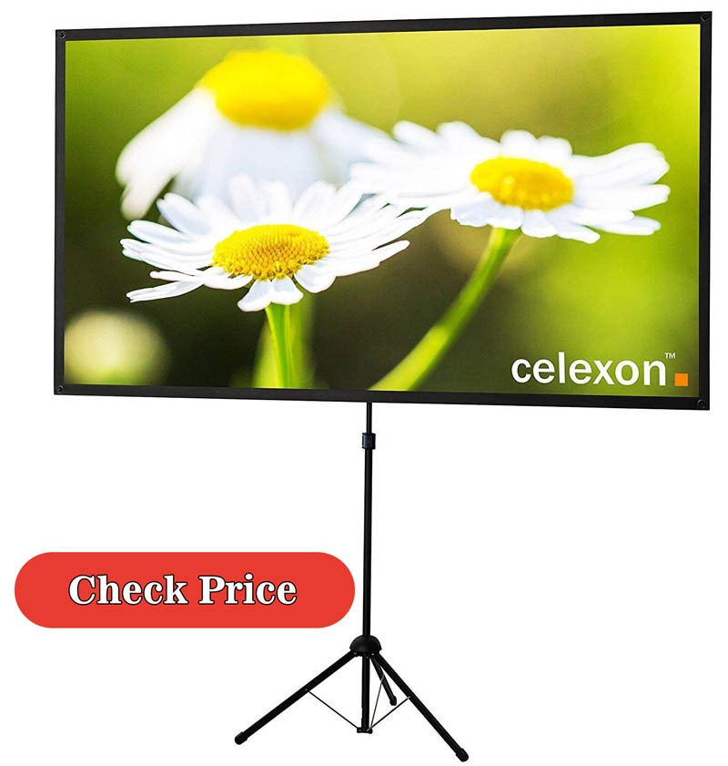 celexon projector screen